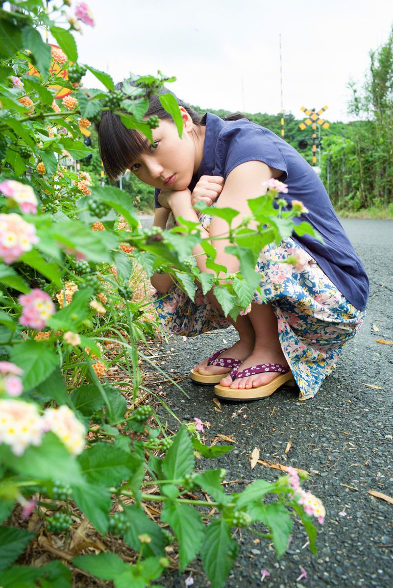 在她心上放一朵花