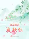 ［遮天］神明花