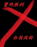 【猎人】酷拉皮卡非要我活下去
