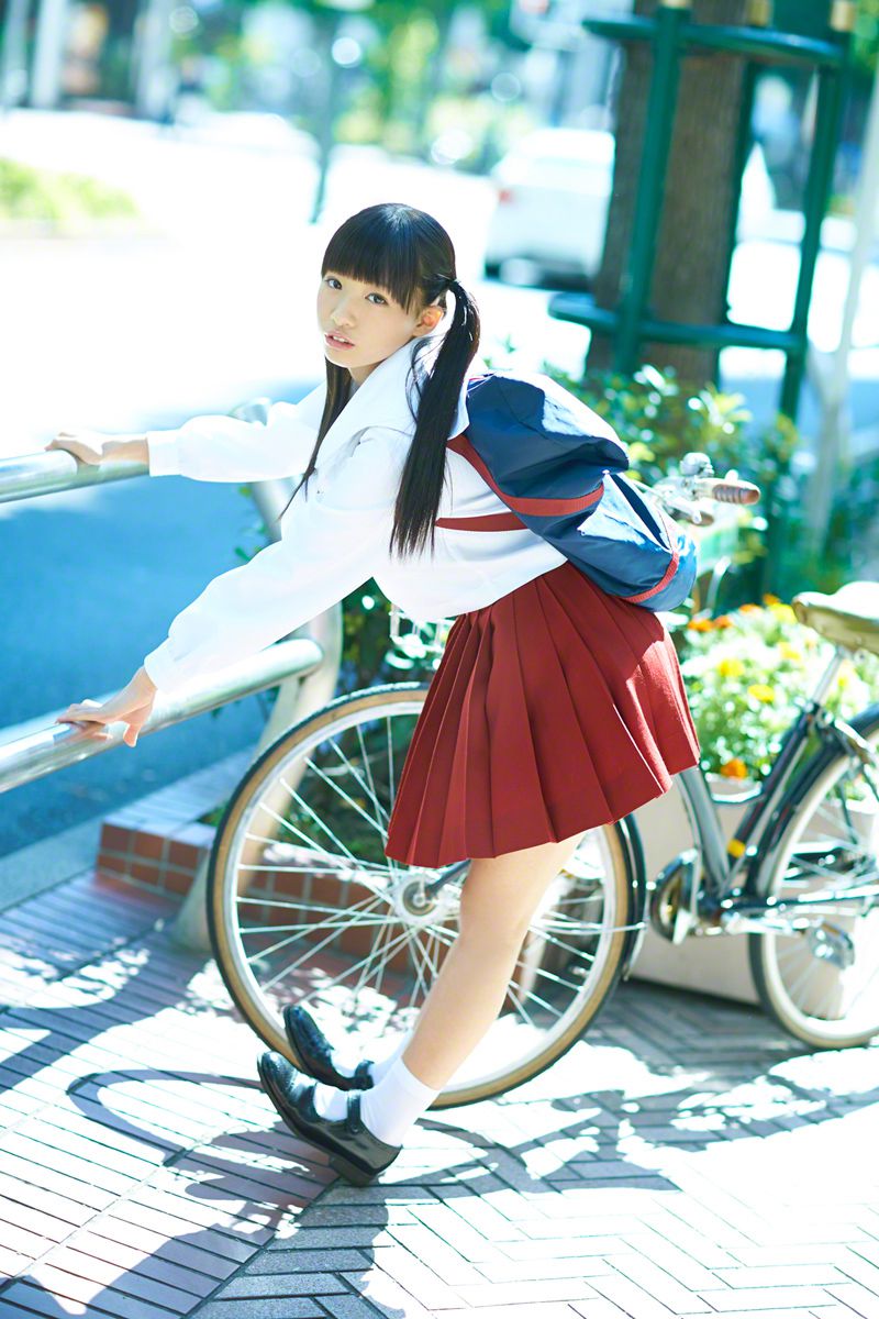 蜉蝣一梦